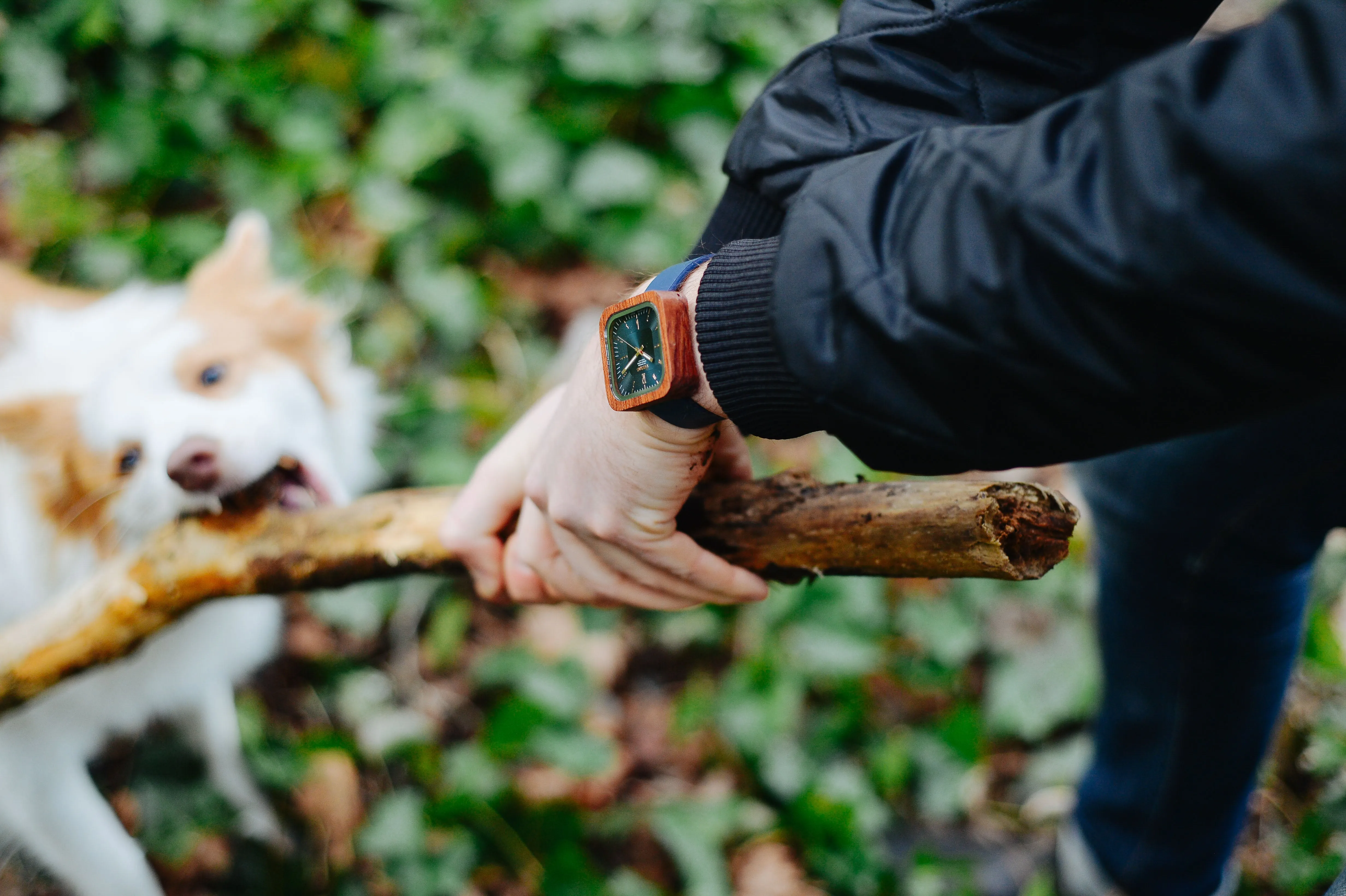 Labrador Leather