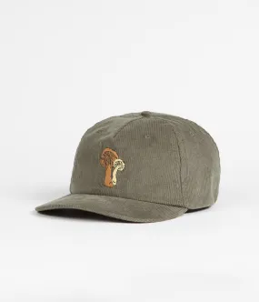 Mollusk Field Guide Corduroy Cap - Olive